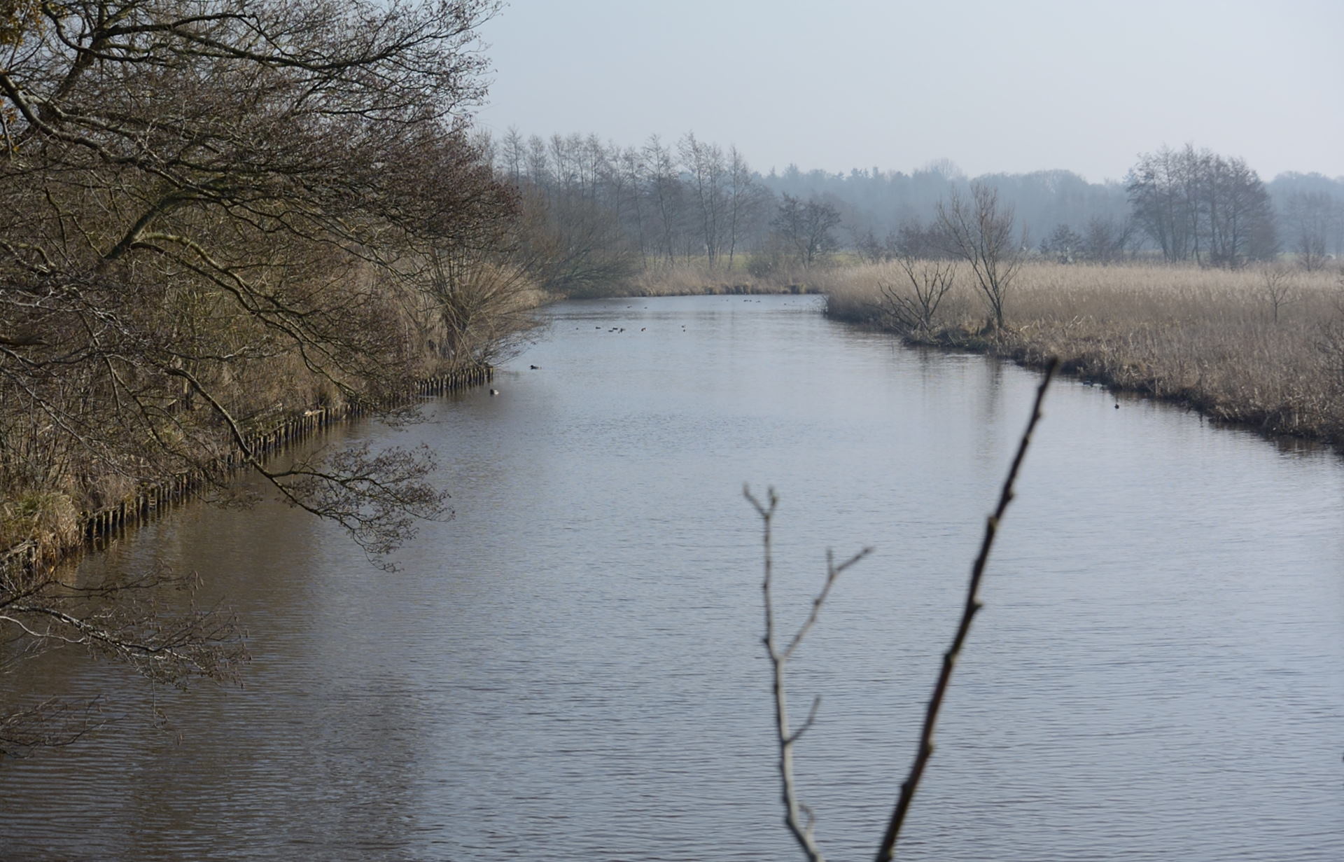 /kraai/foto/2015/2015-02-16 Blankehoeve/DSC_0989_010.jpg